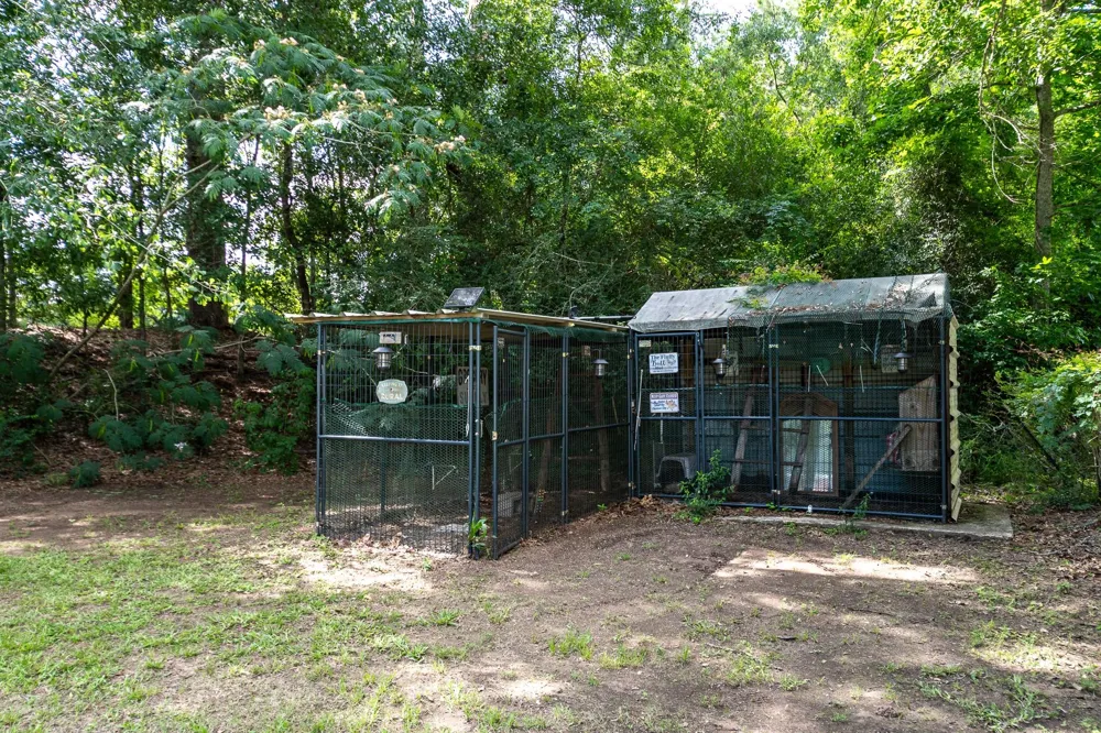 126 County Road 3011 Dayton, TX 77535