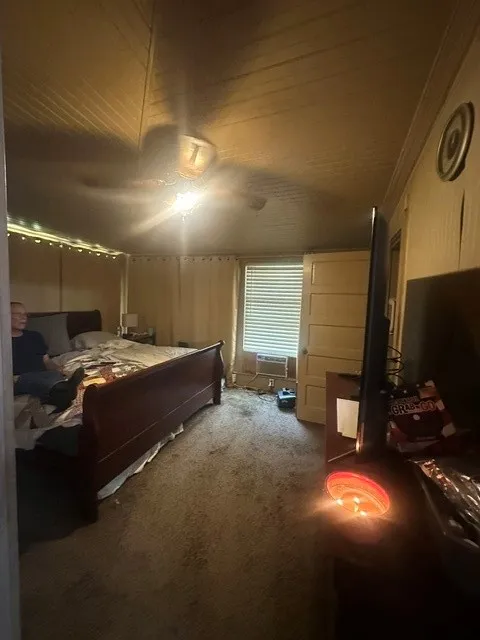 490 E Holley Alba, TX 75410