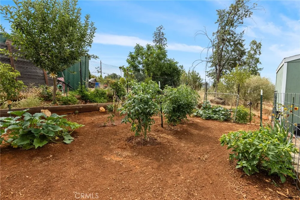 1870 Salida Paradise, CA 95969