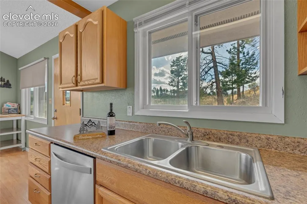 81 Hedges Circle Woodland Park, CO 80863