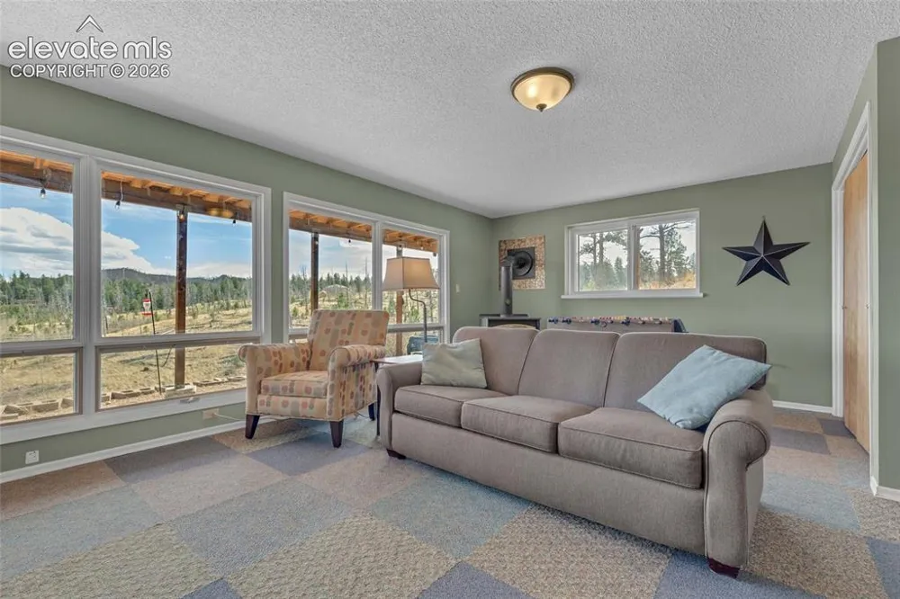 81 Hedges Circle Woodland Park, CO 80863