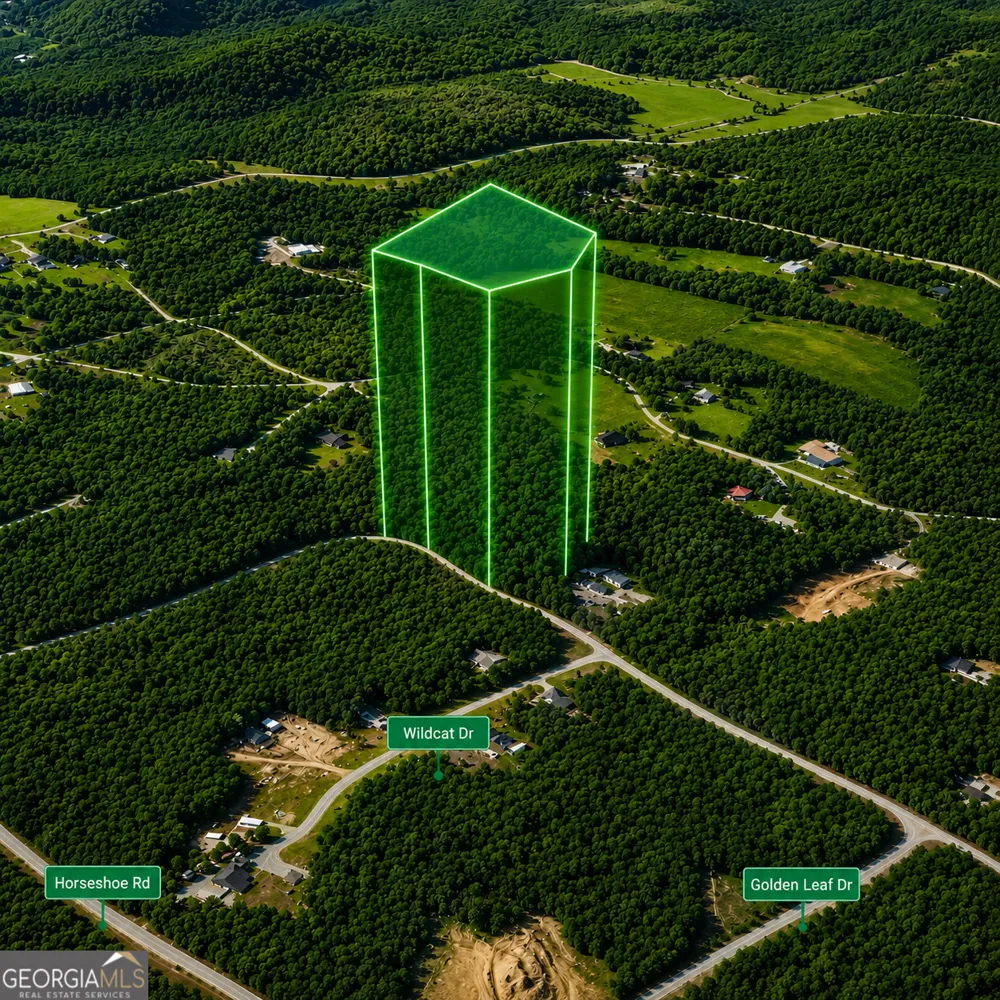 0 Pine Woods DR Blairsville, GA 30512