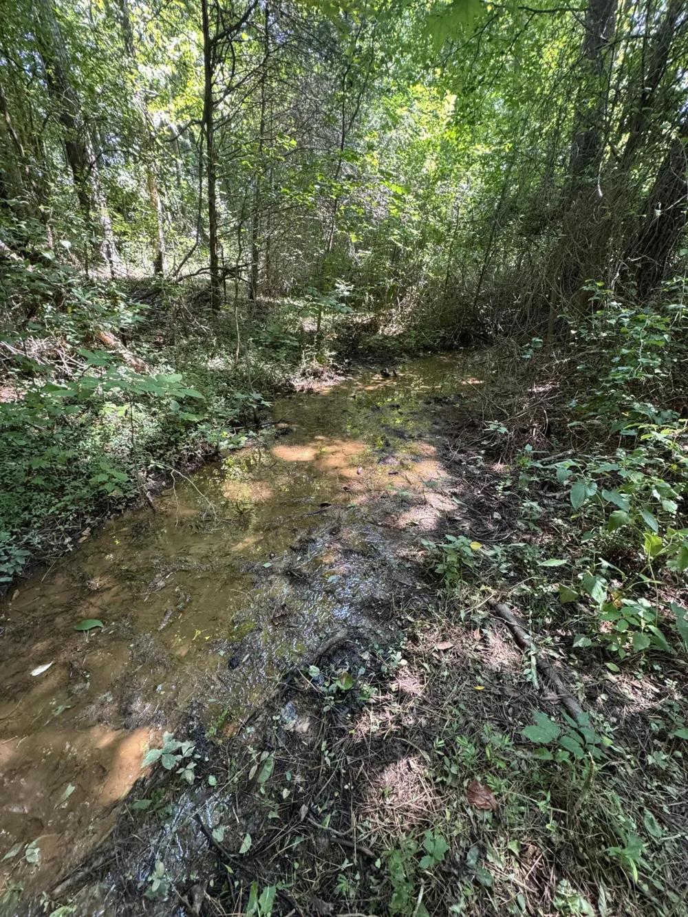 135 Mcdonough Road Whitwell, TN 37397