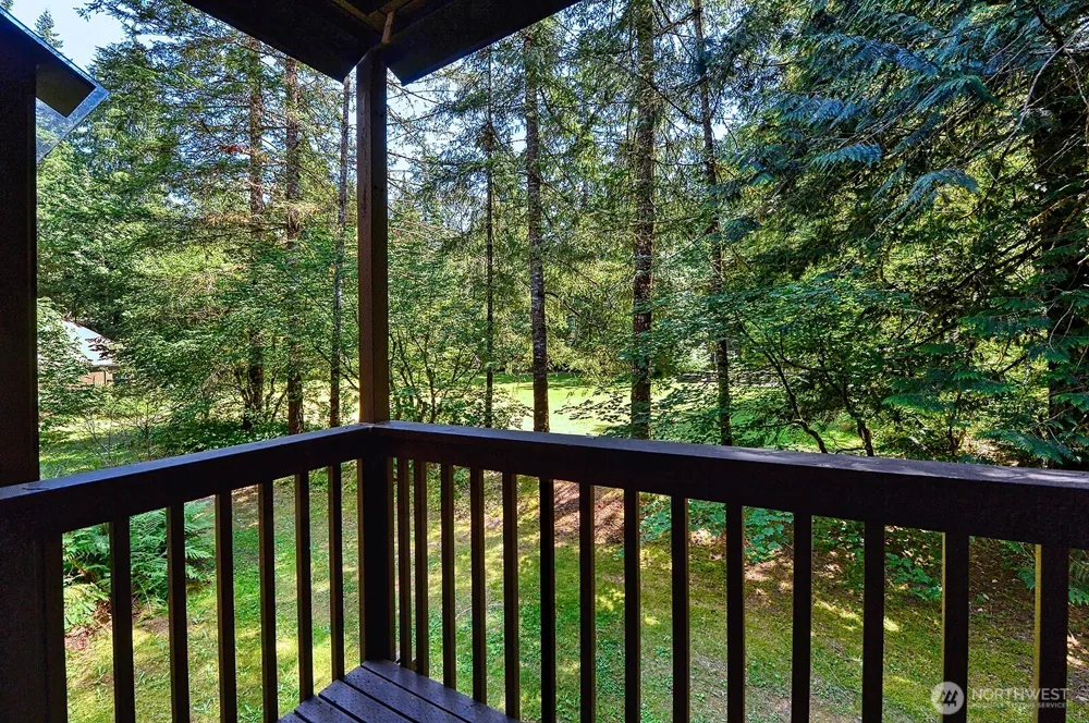 10500 MT Baker Hwy #1207 Glacier, WA 98244
