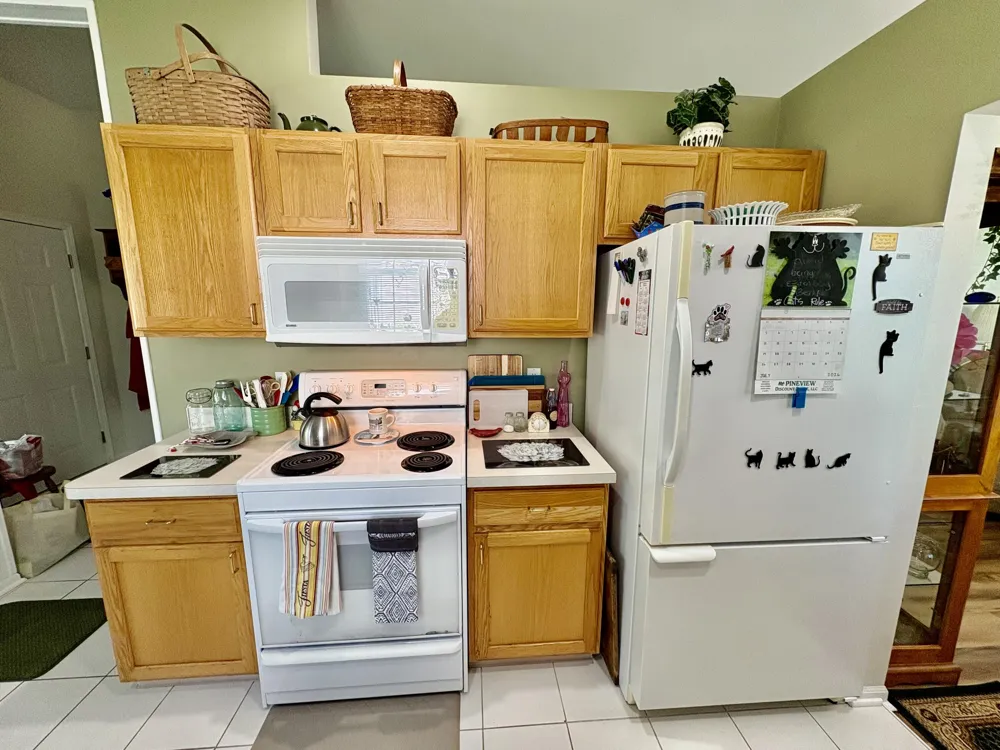 874 Chamberlain Court #9 Summit Township, MI 49203