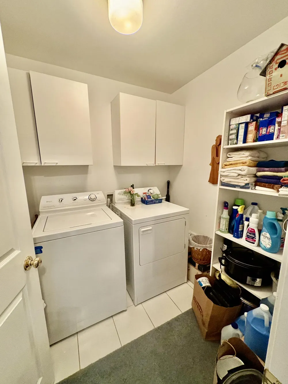 874 Chamberlain Court #9 Summit Township, MI 49203
