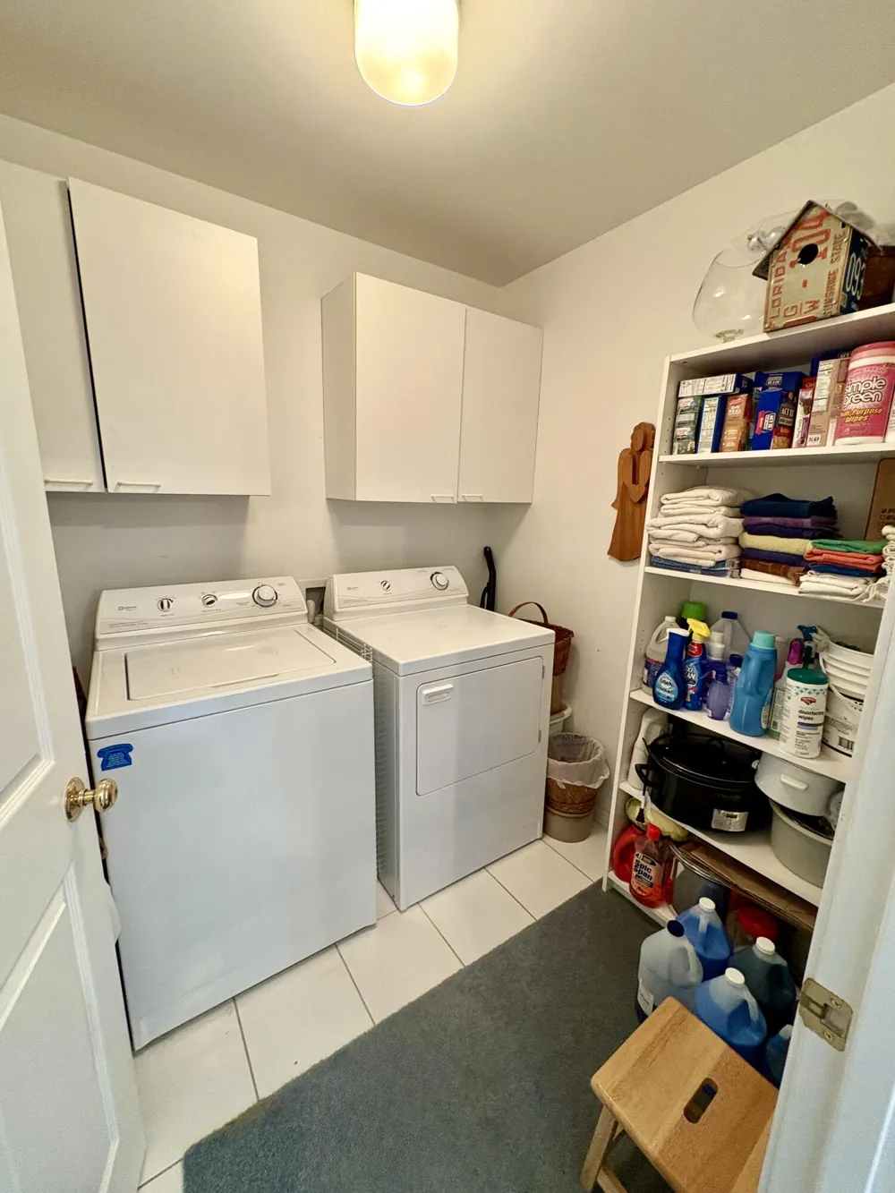 874 Chamberlain Court #9 Summit Township, MI 49203