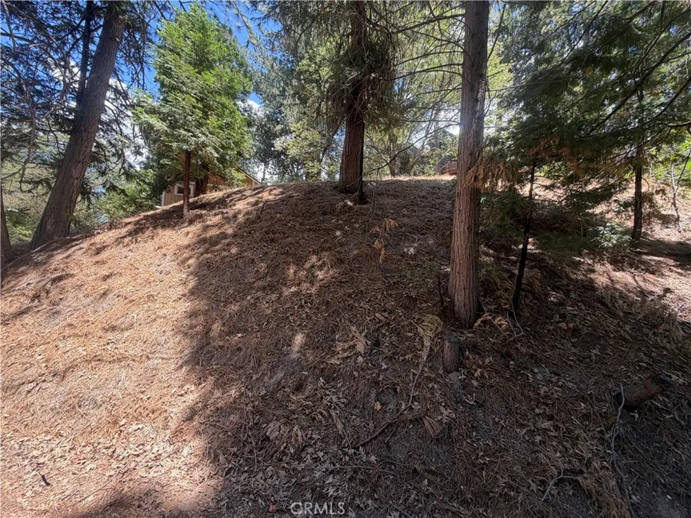 Pyramid Drive Crestline, CA 92325