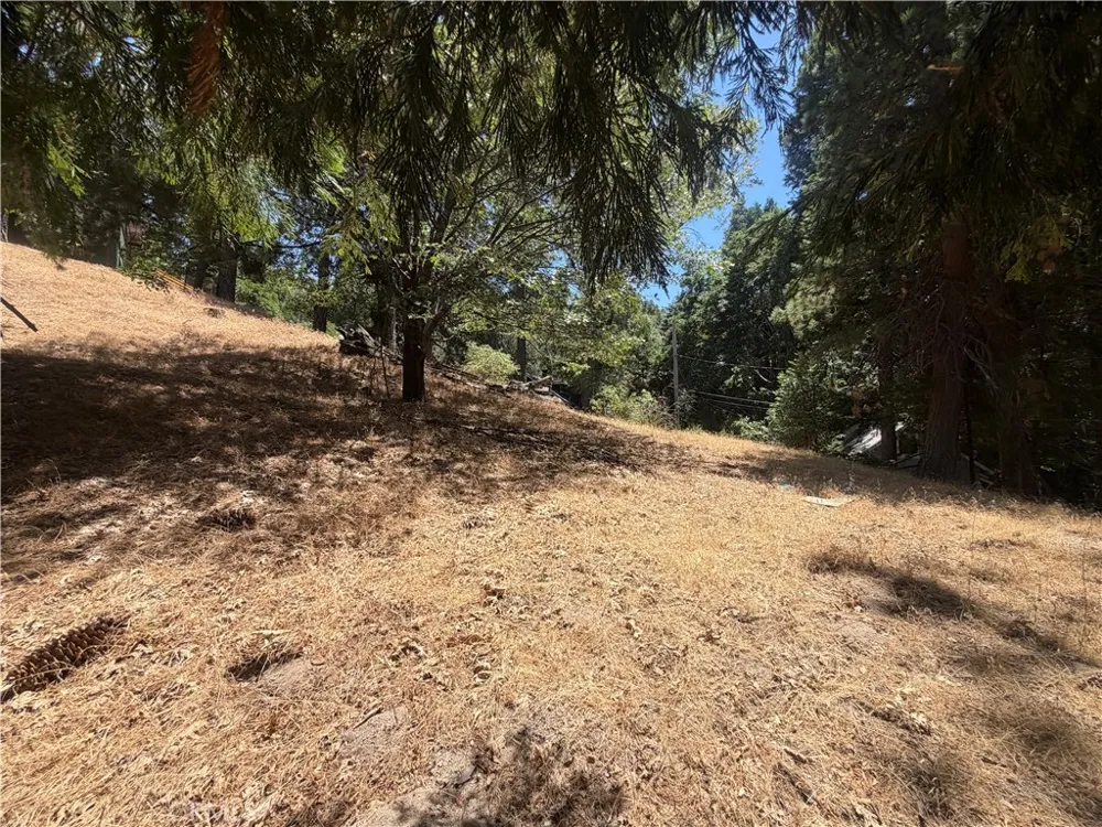 Pyramid Drive Crestline, CA 92325
