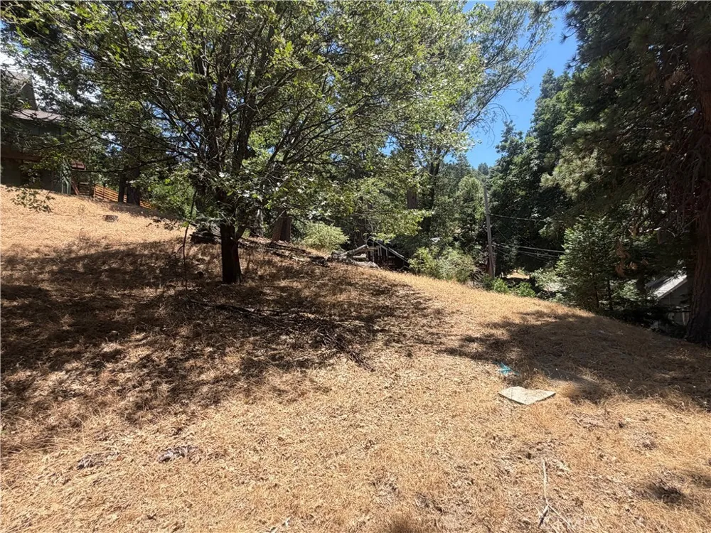 Pyramid Drive Crestline, CA 92325