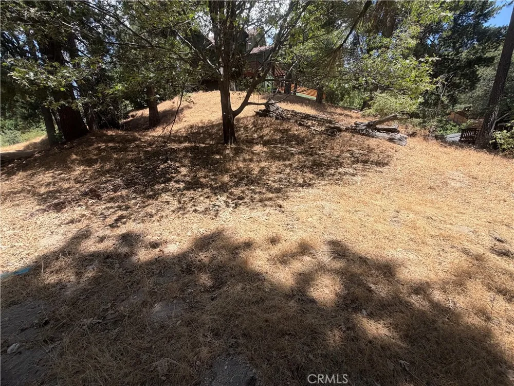 Pyramid Drive Crestline, CA 92325