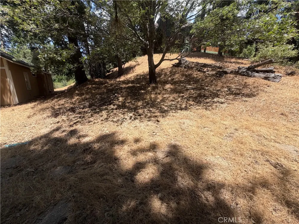 Pyramid Drive Crestline, CA 92325