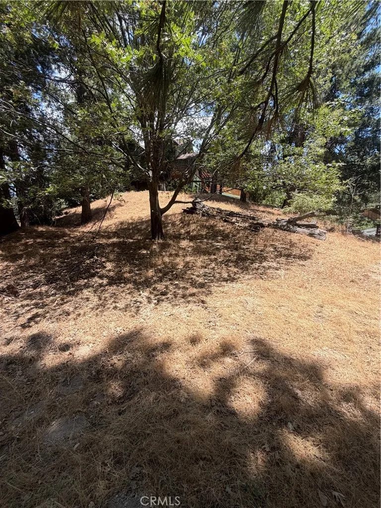 Pyramid Drive Crestline, CA 92325