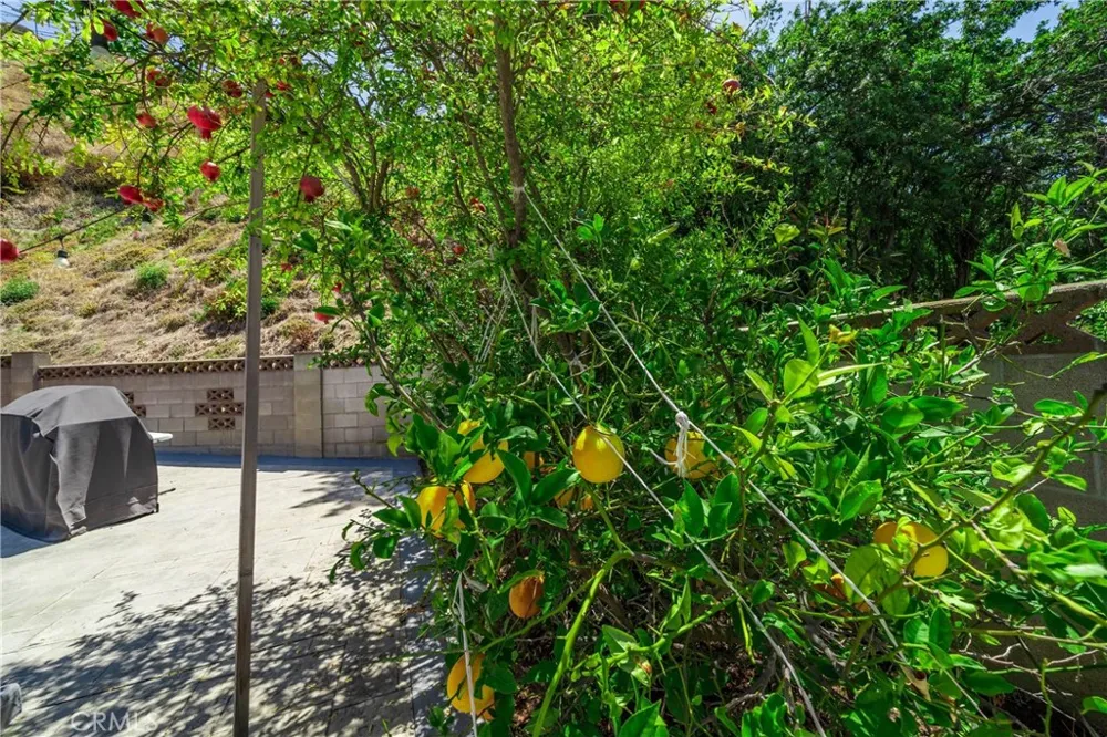 6224 Roundhill Drive Whittier, CA 90601