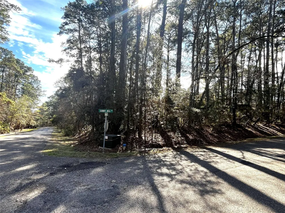 179 Green Tree Drive Coldspring, TX 77331