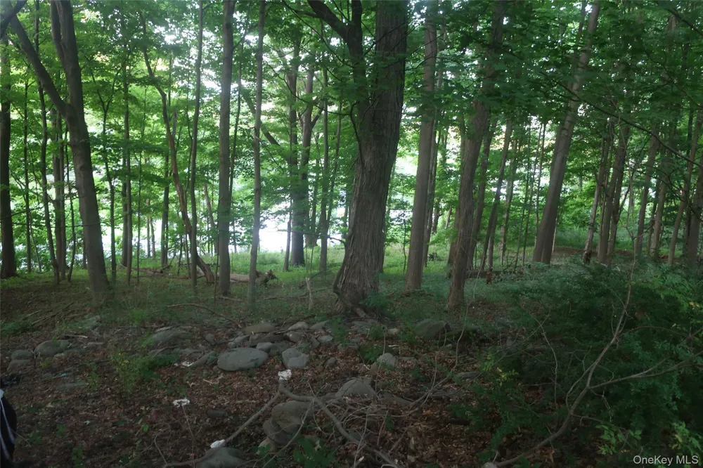 25 Rt-17M Monroe, NY 10950