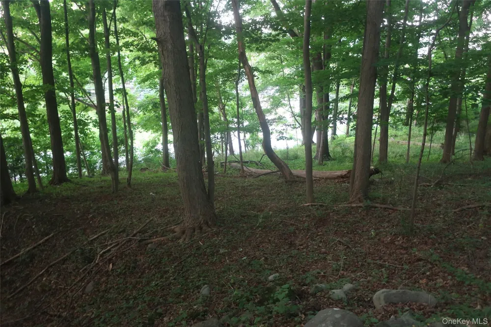 25 Rt-17M Monroe, NY 10950