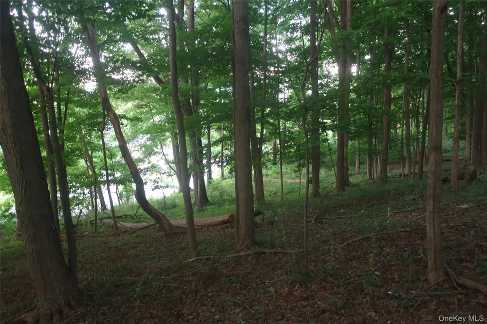 25 Rt-17M Monroe, NY 10950
