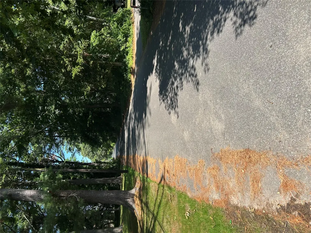66 Magnolia Drive Mastic Beach, NY 11951