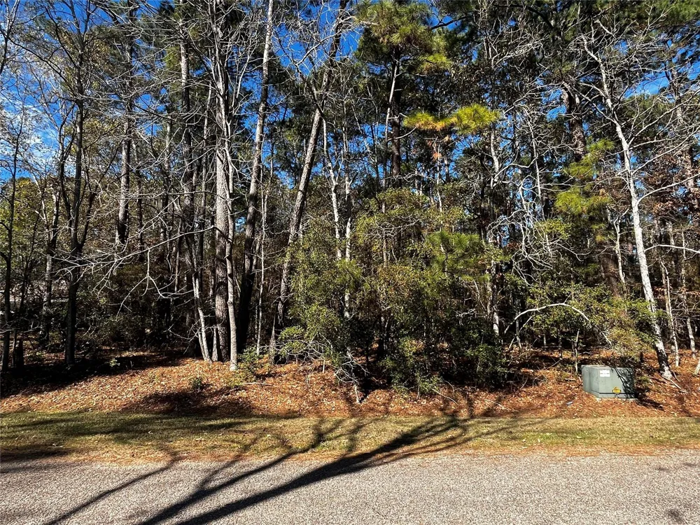 10 Wentworth Lane Coldspring, TX 77331