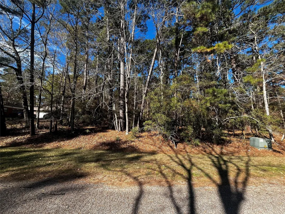 10 Wentworth Lane Coldspring, TX 77331