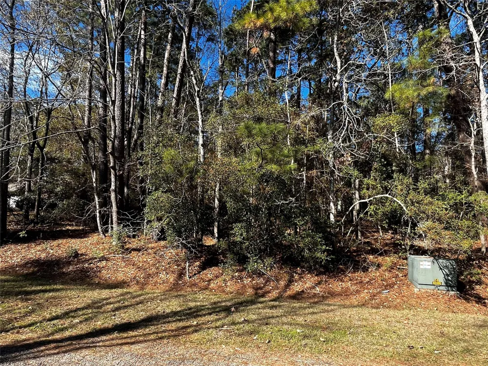 10 Wentworth Lane Coldspring, TX 77331