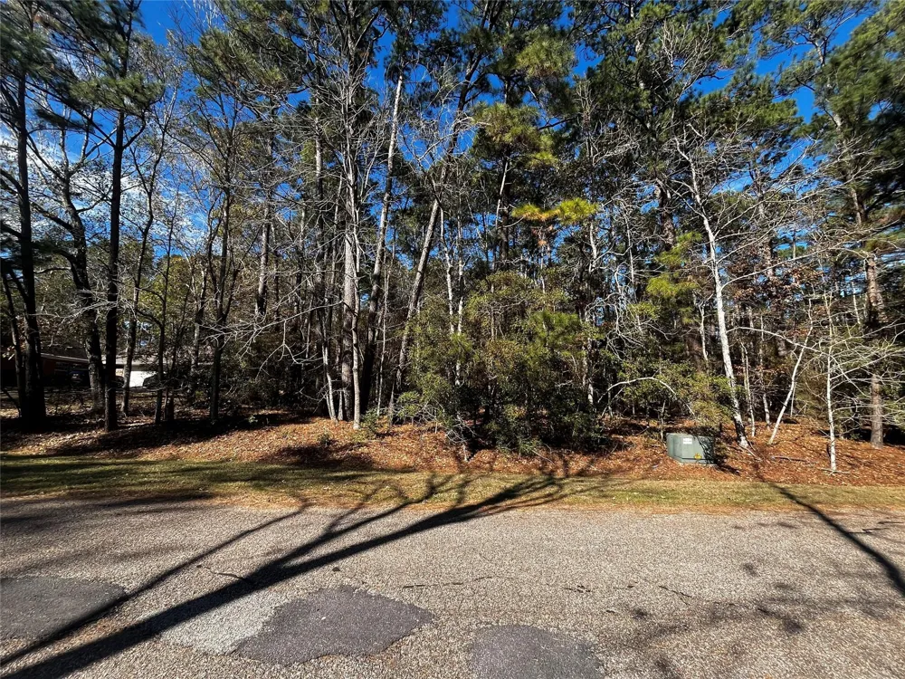 10 Wentworth Lane Coldspring, TX 77331