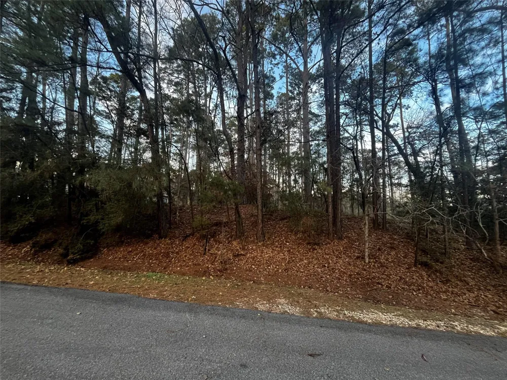 26 Sunny Hill Drive Coldspring, TX 77331