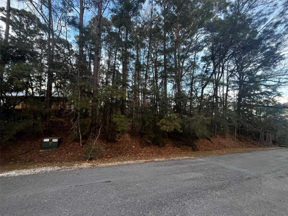 26 Sunny Hill Drive Coldspring, TX 77331