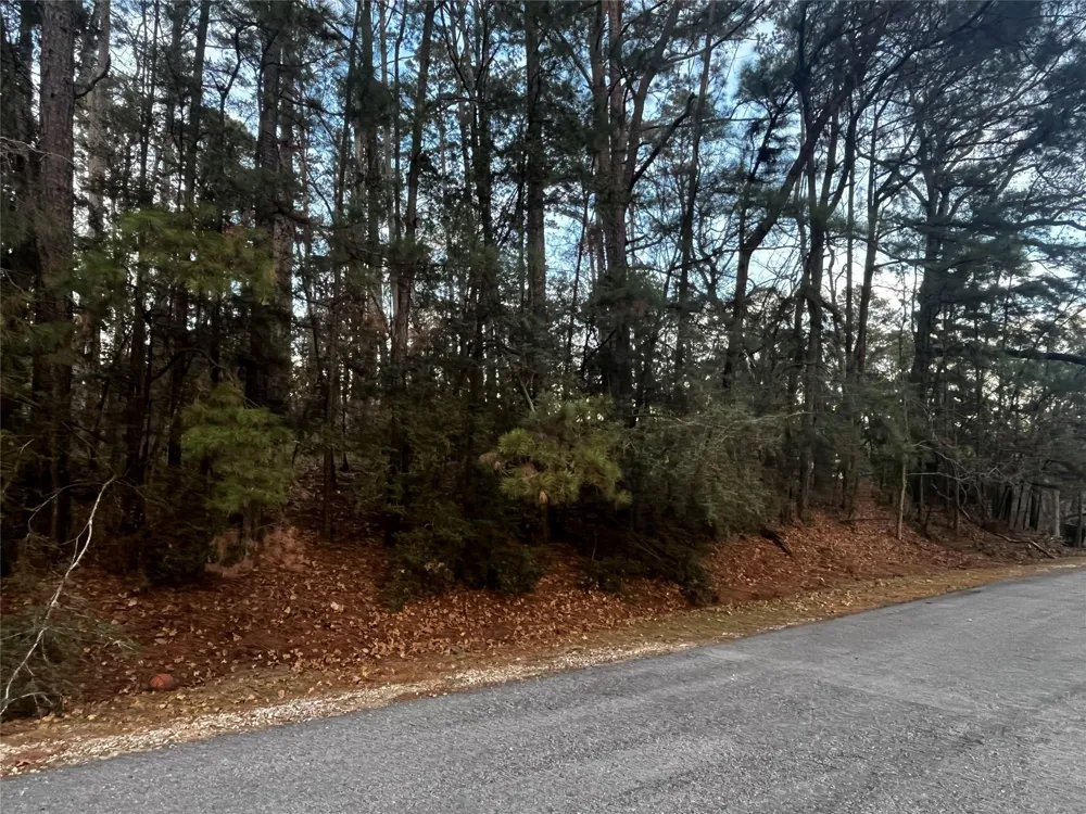 26 Sunny Hill Drive Coldspring, TX 77331