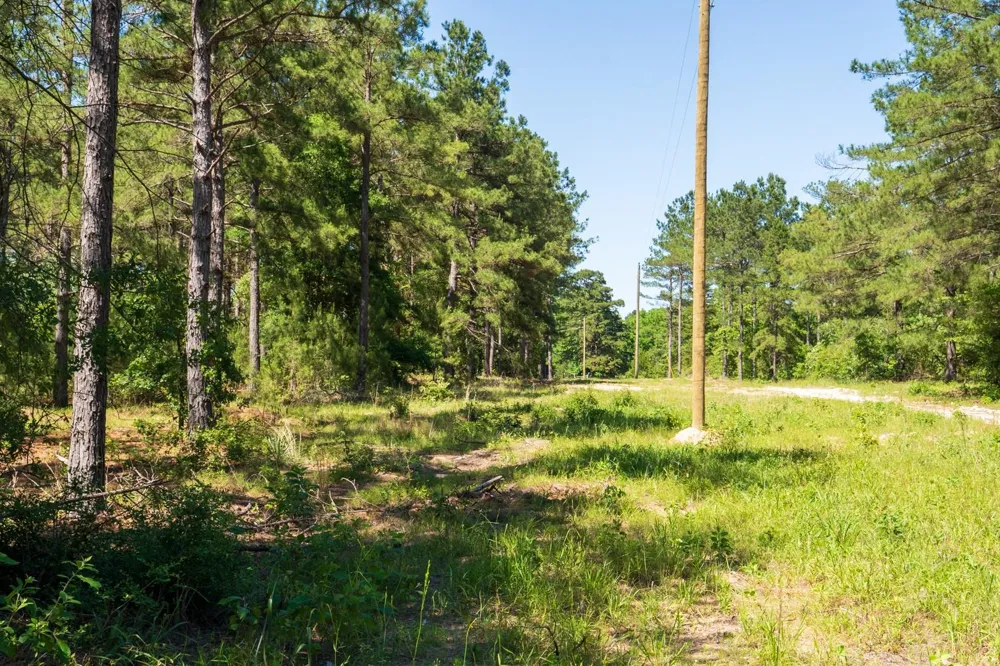 00 Fm 3016 Grapeland, TX 75844