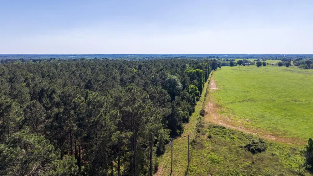 00 Fm 3016 Grapeland, TX 75844