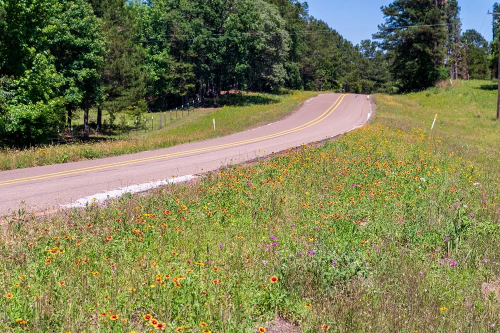 00 Fm 3016 Grapeland, TX 75844