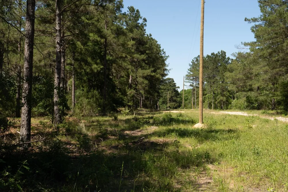 00 Fm 3016 Grapeland, TX 75844