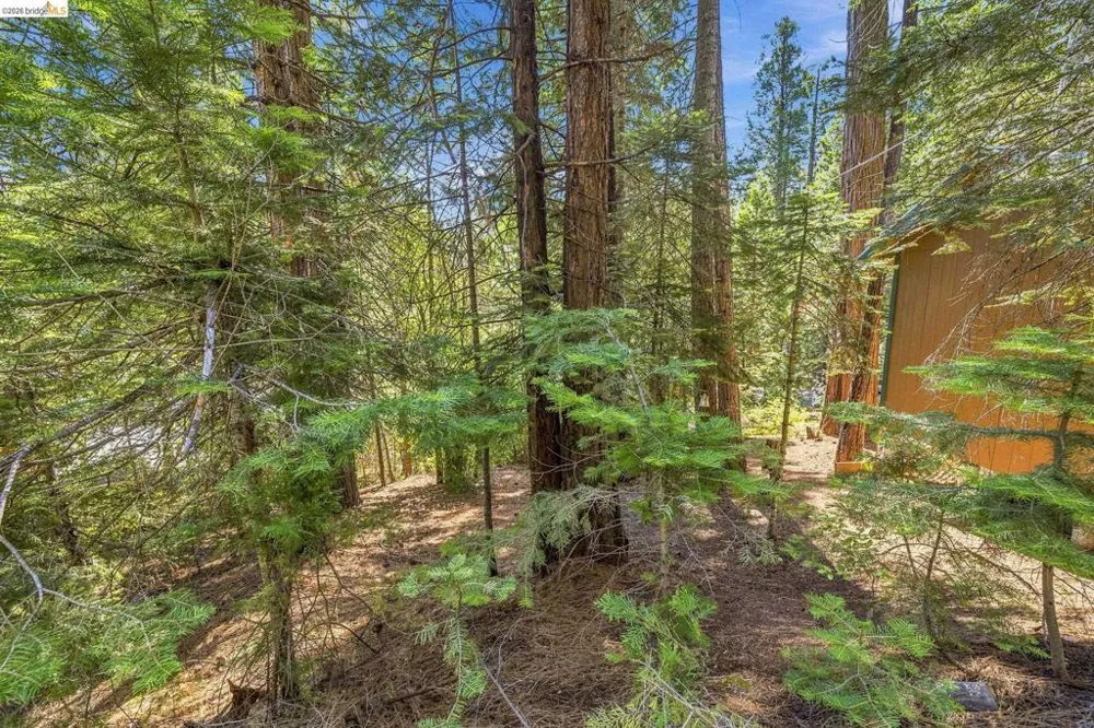 26457 Crystal Rd Long Barn, CA 95335