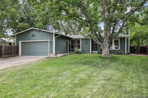 7687 Matai Court