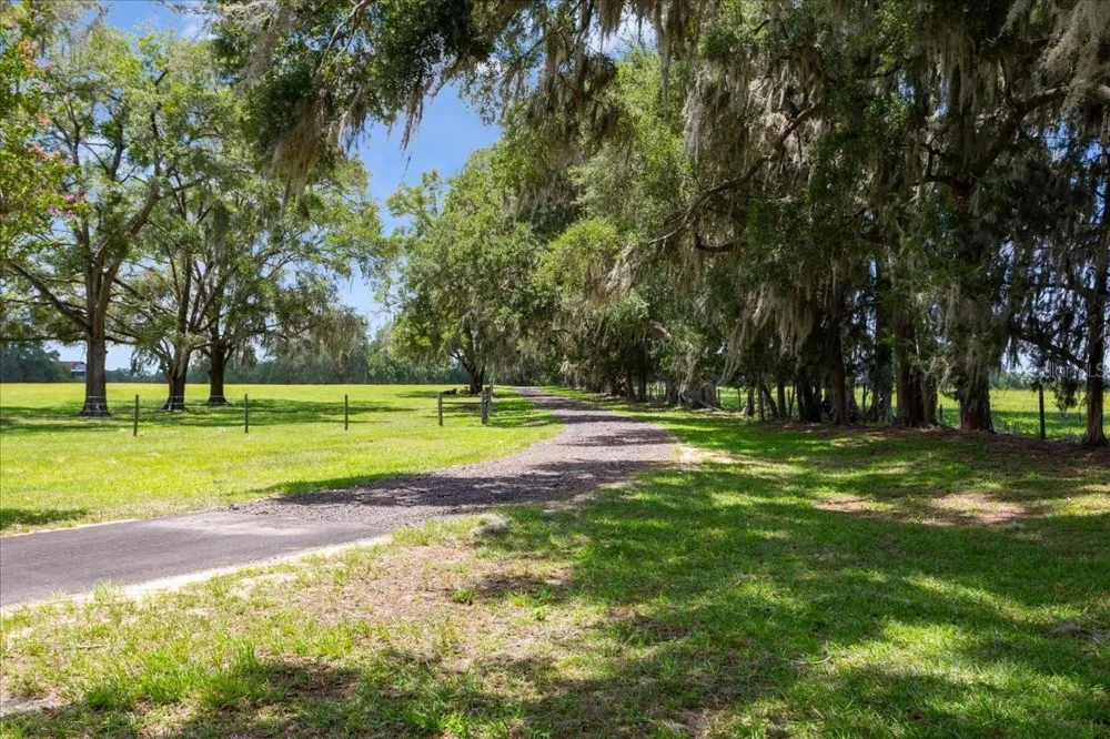3201 NW 202 STREET Newberry, FL 32669
