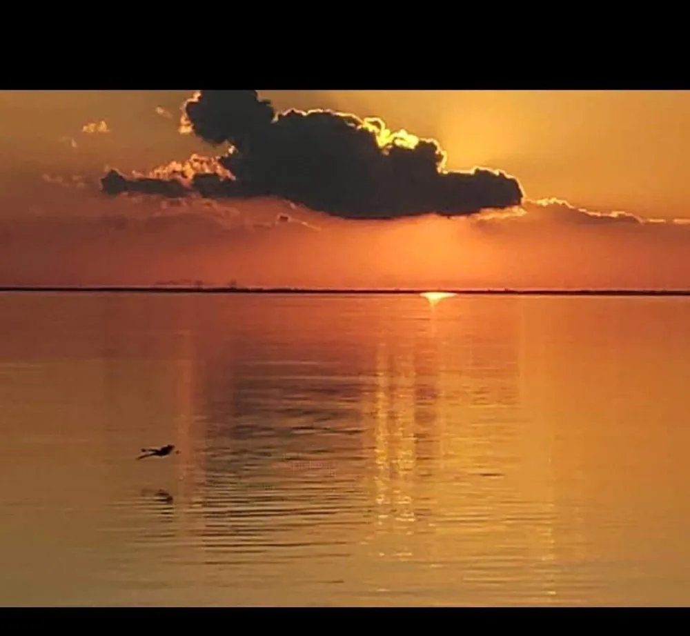 Channelview Anahuac, TX 77514