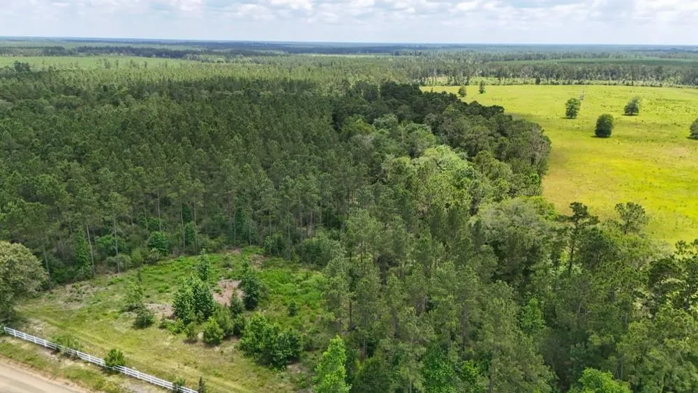 County Road 1450 Warren, TX 77664