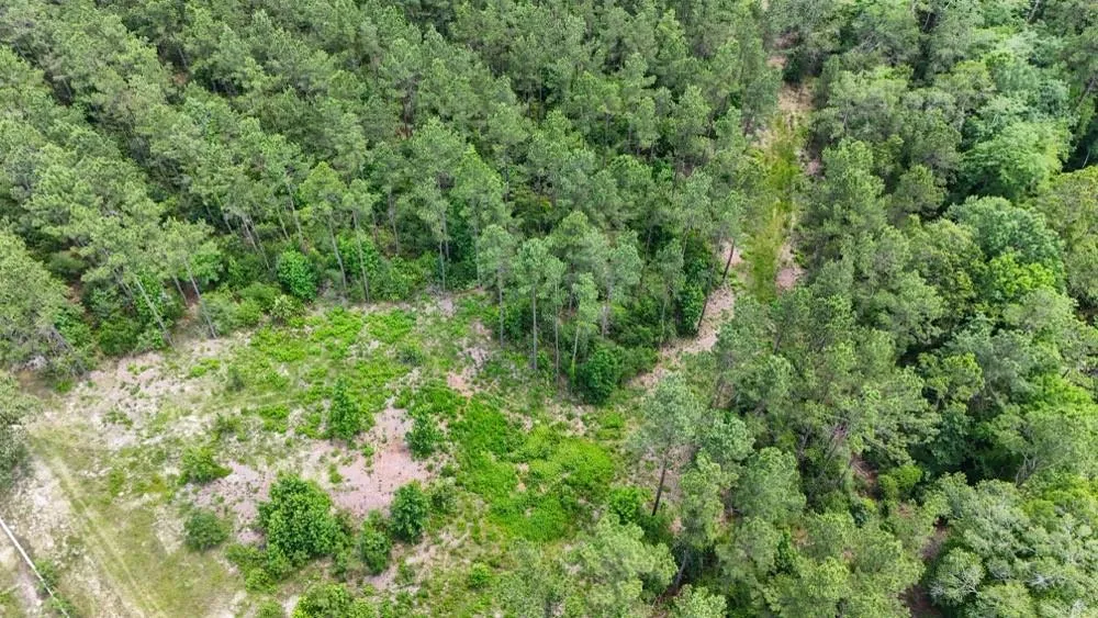 County Road 1450 Warren, TX 77664