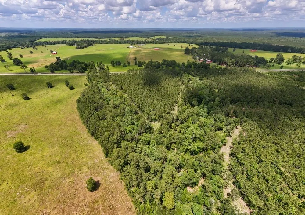 County Road 1450 Warren, TX 77664