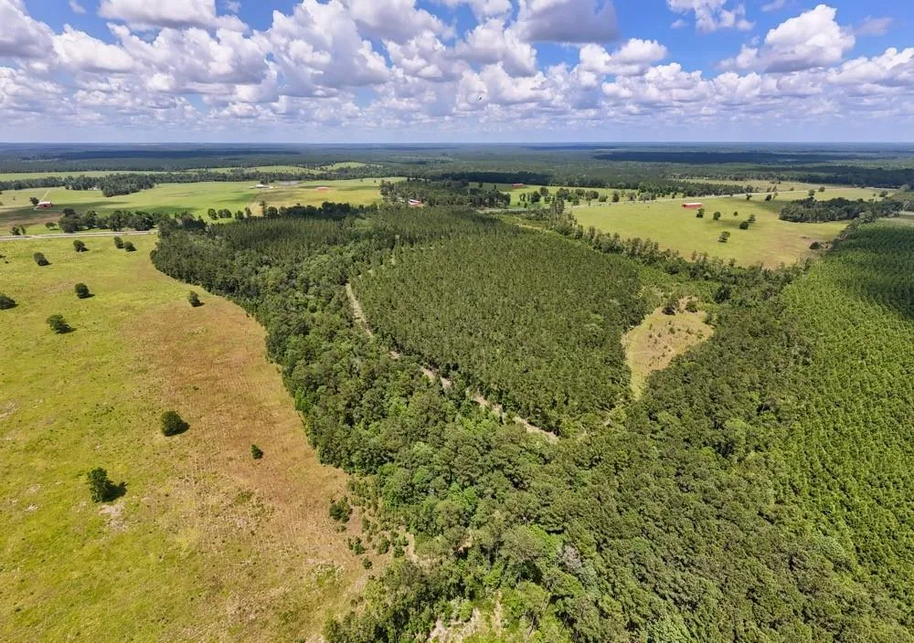 County Road 1450 Warren, TX 77664