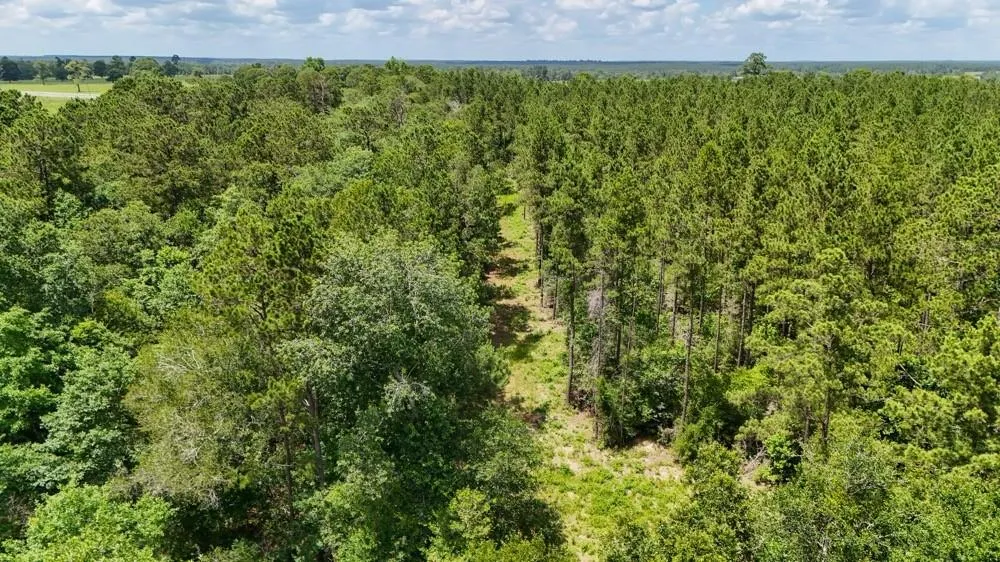 County Road 1450 Warren, TX 77664