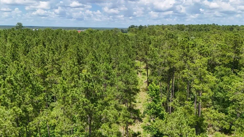 County Road 1450 Warren, TX 77664