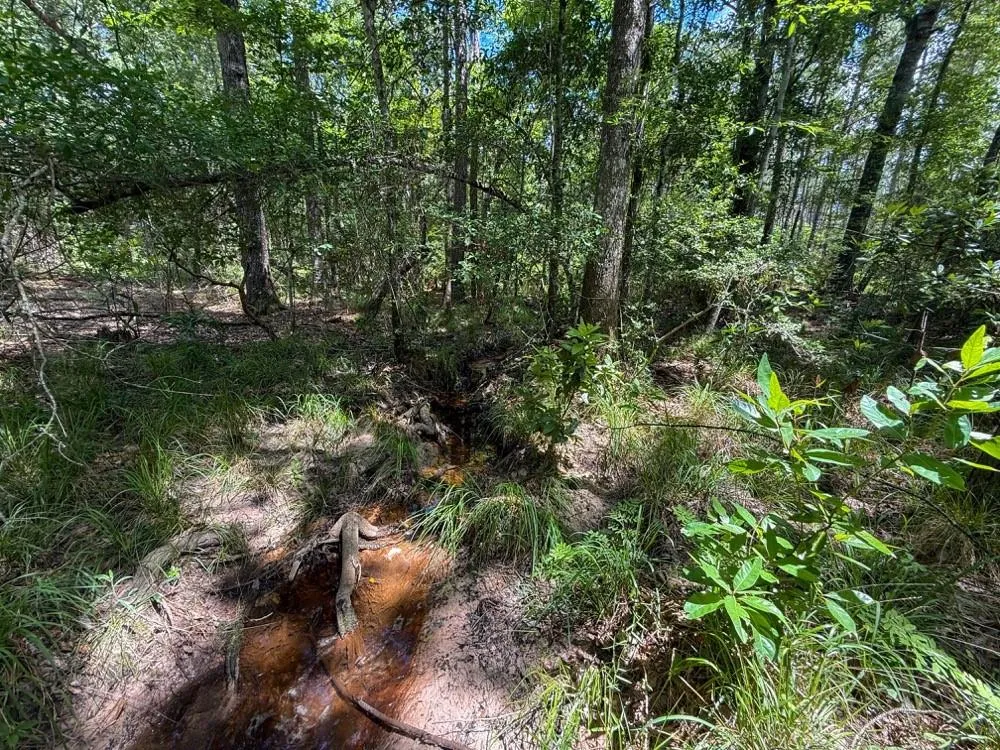 County Road 1450 Warren, TX 77664