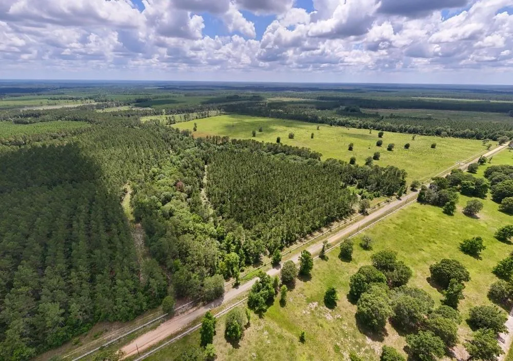 County Road 1450 Warren, TX 77664