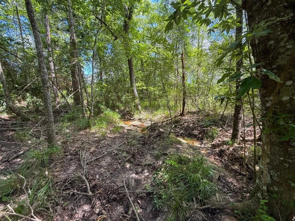 County Road 1450 Warren, TX 77664