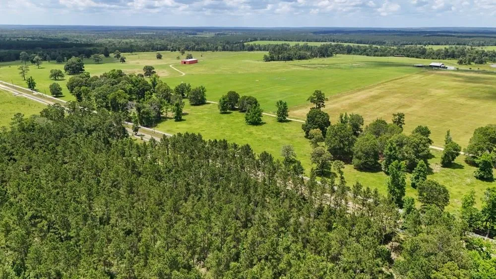 County Road 1450 Warren, TX 77664