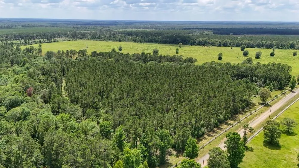 County Road 1450 Warren, TX 77664