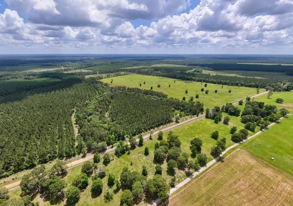 County Road 1450 Warren, TX 77664
